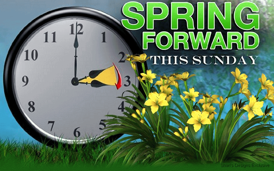 Spring-Forward-in-the-Equine-Industry-Time-to-change-the-clocks..gif