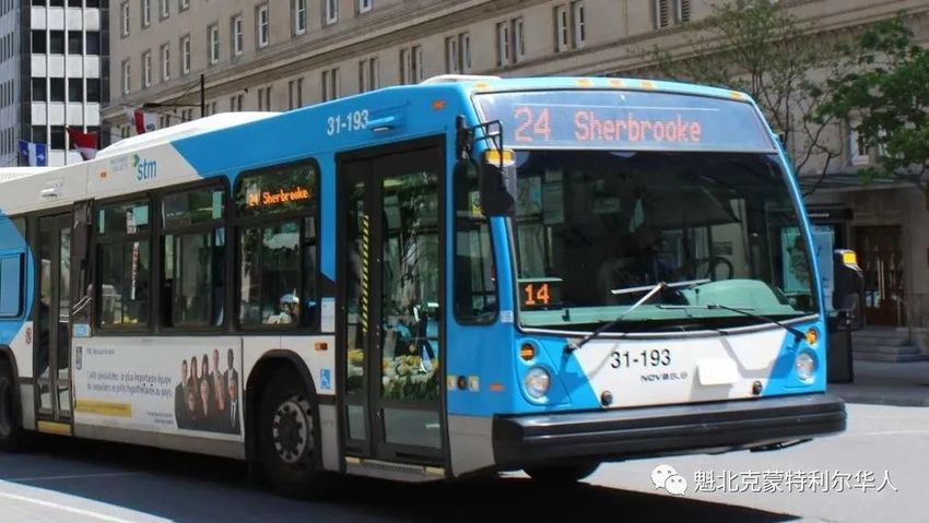 蒙特利尔公交司机称不再给公车消毒，称这场疫情是假的-1.jpg
