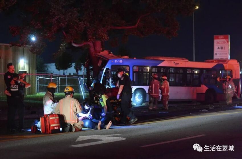 蒙特利尔一辆公交车撞树，车辆严重损毁-2.jpg
