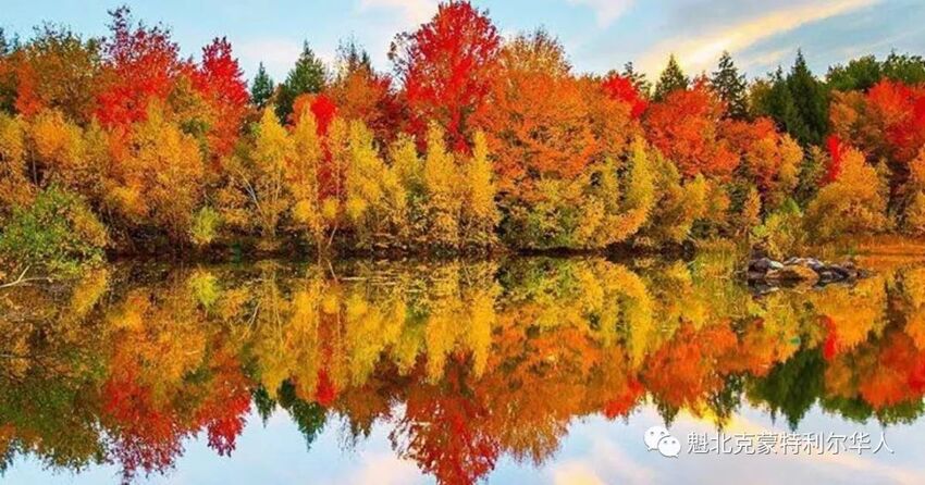 蒙特利尔今天正式进入秋季，魁北克最美的季节到了~-4.jpg