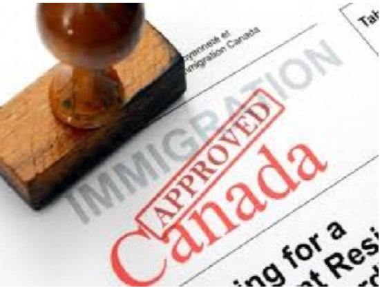 加拿大移民部将会加快处理配偶移民申请-1.png