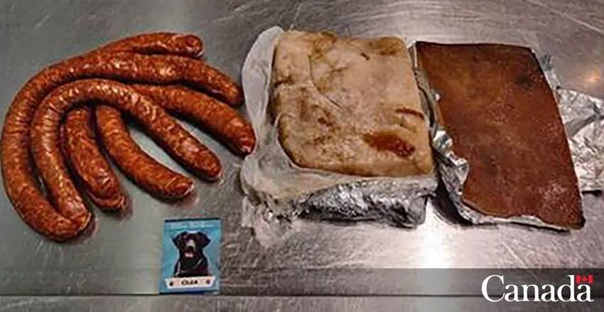 一名旅客携带猪肉香肠入境加拿大，被罚00-1.jpg