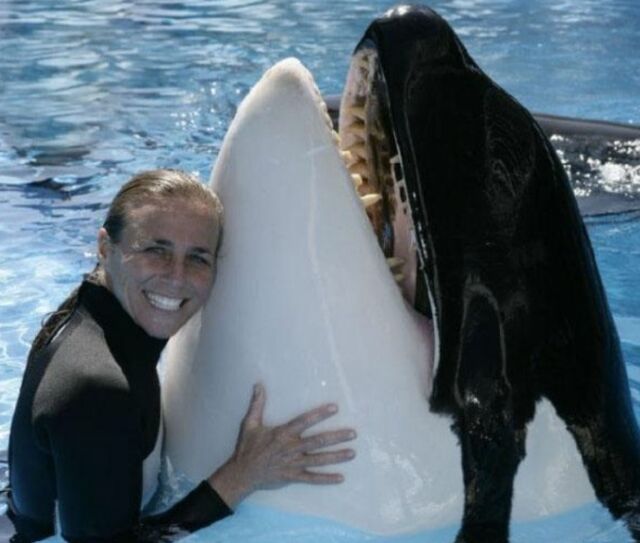 骇人听闻：女驯兽师被相爱16年的虎鲸拖下水淹死-4.jpg