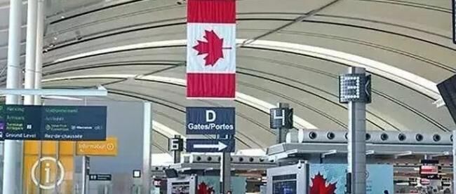 留学生机场排千米长队 飞加拿大机票3万赴美10万-5.jpg