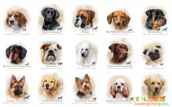 1311_24x44_inches_panel_dog_breed_panel.jpg