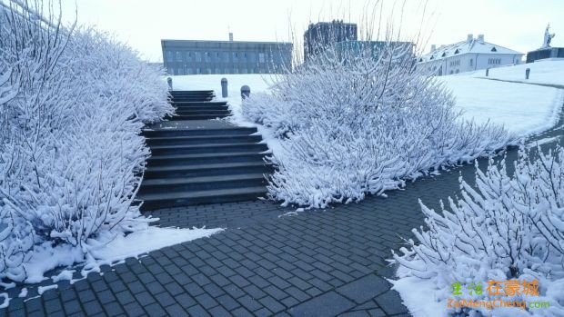 reykjavik-sidewalk.jpg