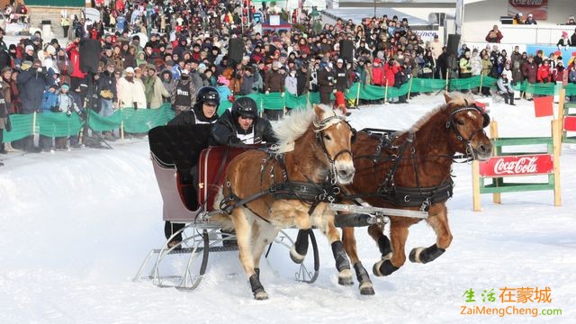 Horse-Cart-Race-At-The-Quebec-Winter-Carnival.jpg
