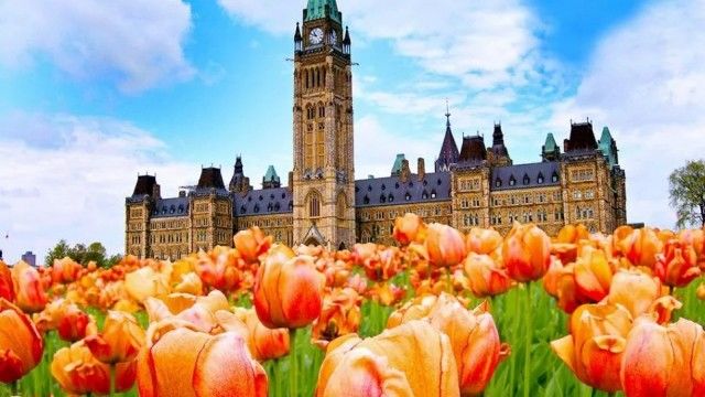 加拿大三座城市被评为世界十大宜家城市-7.jpg