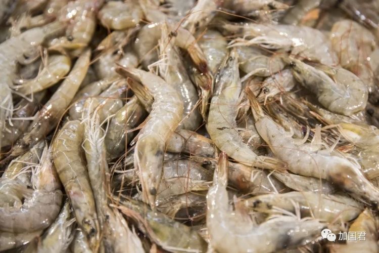注意！多伦多超市常见的南美白虾在国内验出新冠病毒-2.jpg