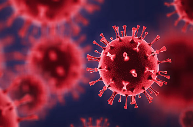 美国发现七种新冠病毒变体 传染性或更强-1.png