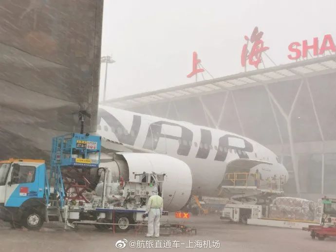 上海机场全天取消所有客运进出港航班-2.jpg