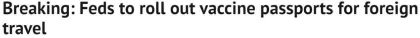 加拿大官宣：正式推出用于国际旅行的疫苗护照-1.jpg