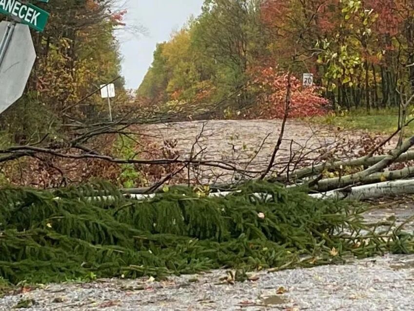 魁省南部Estrie地区  遭受暴风雨重大破坏-1.jpg