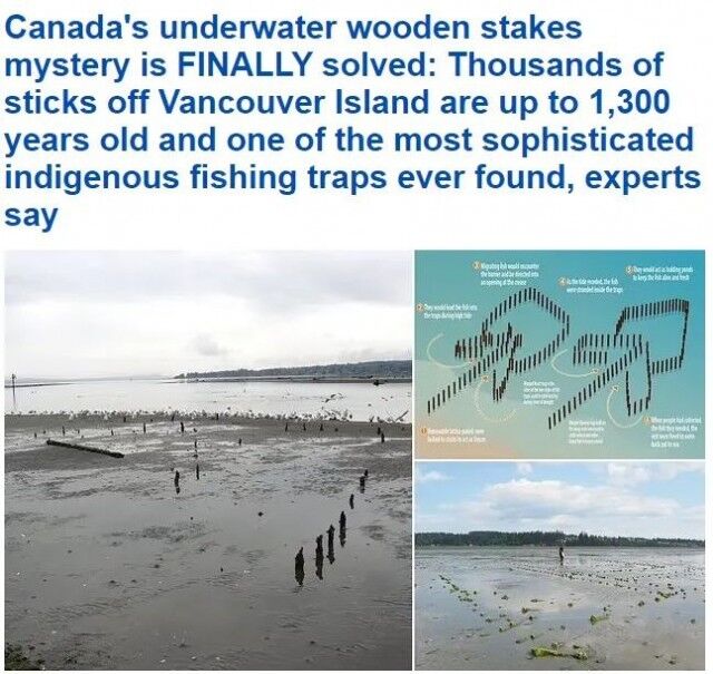 加拿大神秘矗立15万根古老木桩 谜底终于揭开-1.jpg