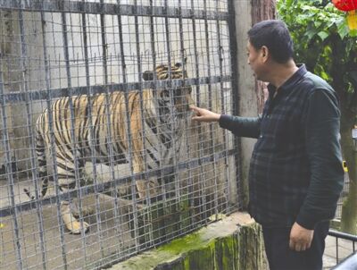 私闯动物园游客被嘲：老虎也不吃垃圾食品-1.jpg
