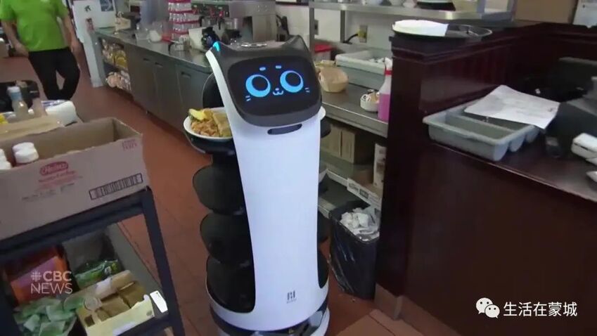 魁省这家餐厅招不到员工，所以他们找了一只可爱的机器猫-2.jpg