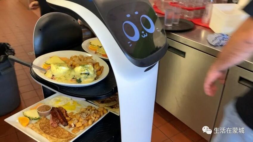 魁省这家餐厅招不到员工，所以他们找了一只可爱的机器猫-3.jpg
