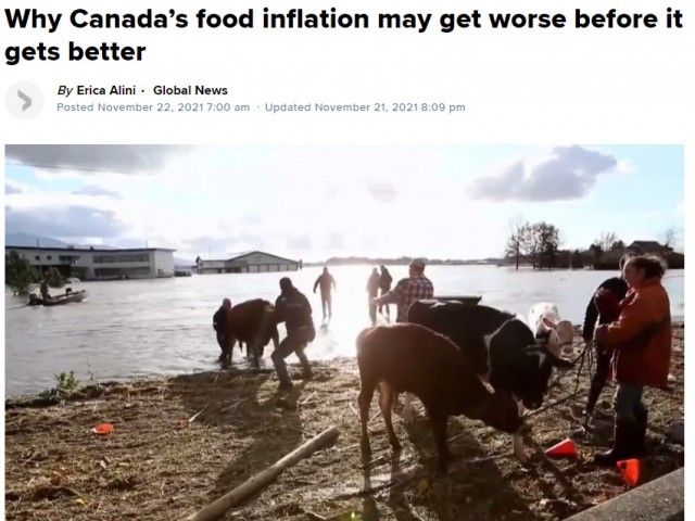 食品价格还要大涨：加拿大人今冬难熬-1.jpg