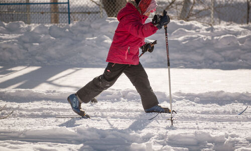 蒙特利尔这个公园今年冬天每周末免费租用滑雪装备