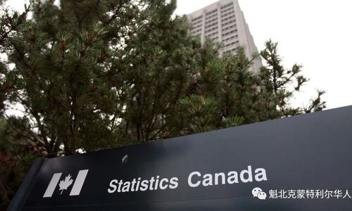 加拿大统计局正在招人 时薪高达$25 只需高中文凭 会用电脑
