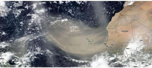 卫星可见 撒哈拉沙尘暴将抵美东南部 空气料恶化