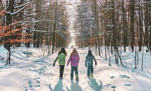 快订门票！魁省国家公园今年冬天这些日子 将免费游览