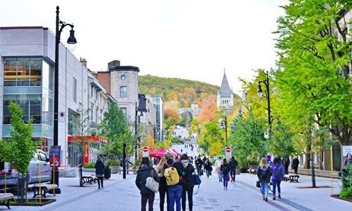 从8月开始 申请留学加拿大人数急剧减少