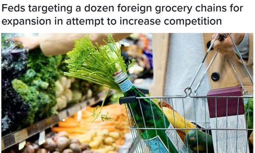 好消息！多家外国折扣超市要来加拿大 与三大巨头竞争！买菜更便宜选择更多！ ...