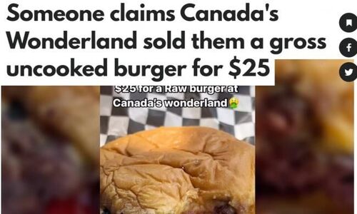 加拿大Wonderland踩雷：$25刀的食物不敢下嘴
