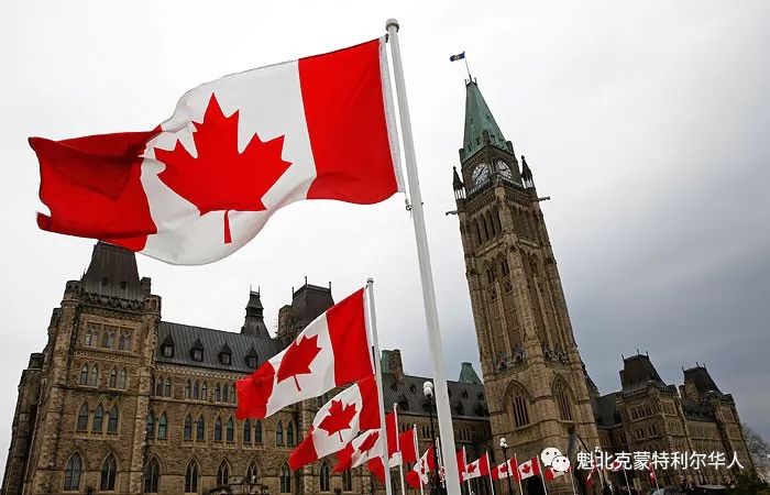 加拿大这项重大福利计划 将于明年1月开始全面实施