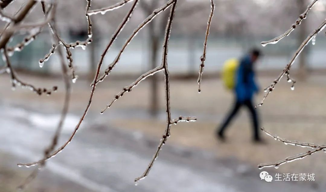 恶劣天气再次来袭！大蒙特利尔地区冻雨警报！出行将受严重影响 …