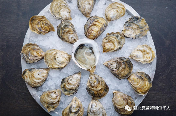 加拿大食检局发警告 不要吃这些牡蛎 可能遭到病毒污染