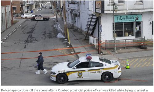 震惊全国！魁省女警执行逮捕行动时被刺死 精神病患者越来越多 ...