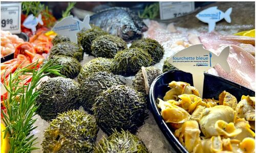 魁省几十家餐馆很快就会供应海鲜美食“海中的鹅肝”