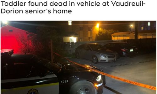悲剧！蒙特利尔两岁男孩被发现死在车里 可能是高温致死