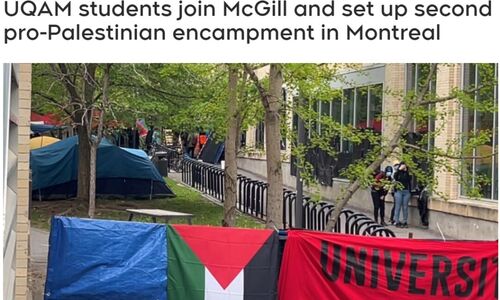 蒙特利尔麦大寻求禁令 营地成桶排泄物！又一个大学校园被扎营 ... ...