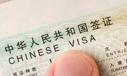 华人注意！总领馆官宣：对受疫情影响的10年多次签证给予补偿 ...