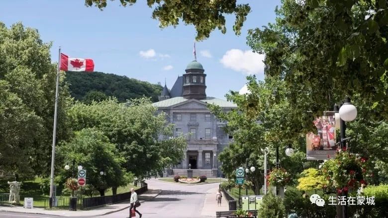 蒙特利尔两所大学在这些学科中 位列世界前100名