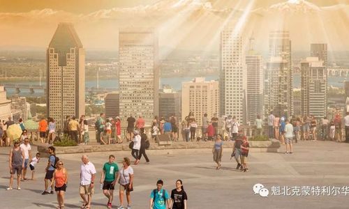 蒙特利尔下周直冲33度！魁省多地发布明火禁令 最高罚万