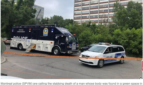 蒙特利尔一片绿地发生凶杀案 一名男子被刺死