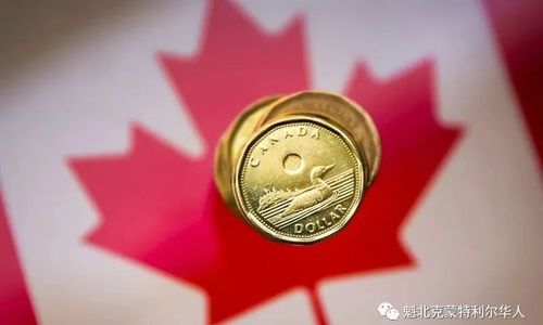 一路涨！加元兑人民币直冲5.3！花旗银行中国宣布：全面停止全球速汇通服务 ... ... ...