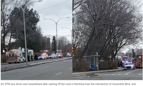 蒙特利尔一辆公交车突然驶离道路 冲上人行道
