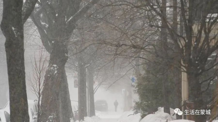 准备好！蒙特利尔即将遭遇另一场暴风雪 降雪量将达25厘米