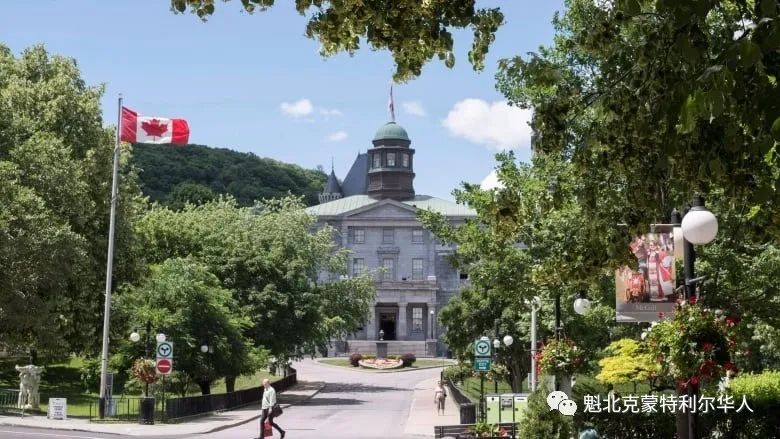 蒙特利尔也要大降留学生学费?市长说:魁省这项决定是对本市的惩罚 ... ...