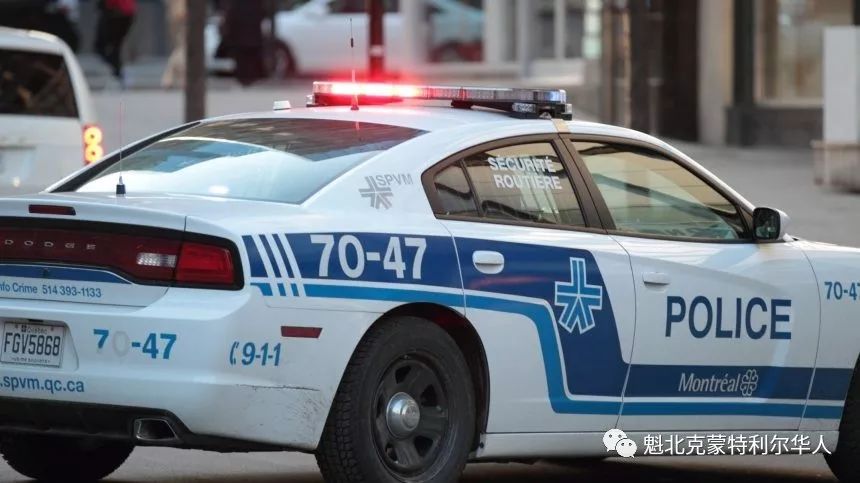 蒙特利尔警方突袭市中心公寓 逮捕7人 缴获5把枪
