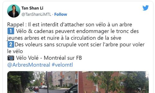 注意！蒙特利尔街头禁止这一行为，华裔议员发文提醒
