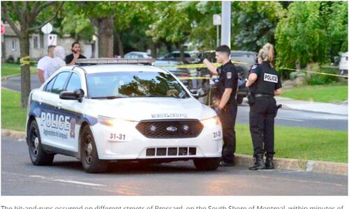 蒙特利尔南岸华人被撞身亡 肇事逃逸司机被判入狱12年