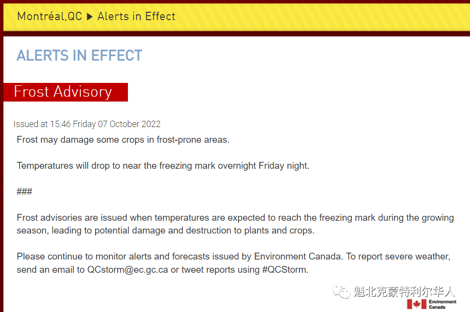 今夜气温降至0度左右，冬天正在临近！魁省今冬第一场雪预计这时到来 ...
