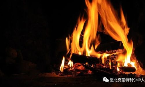 蒙特利尔下周直冲33度！魁省多地发布明火禁令 最高罚万
