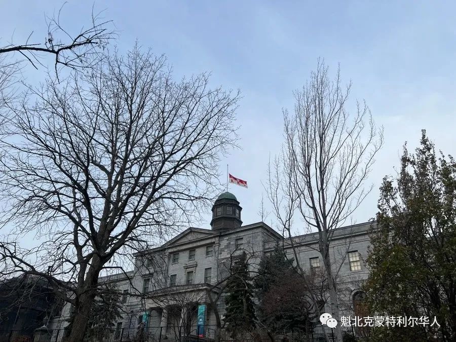 蒙特利尔校园大屠杀33周年，今晚14束光划破夜空纪念遇难者